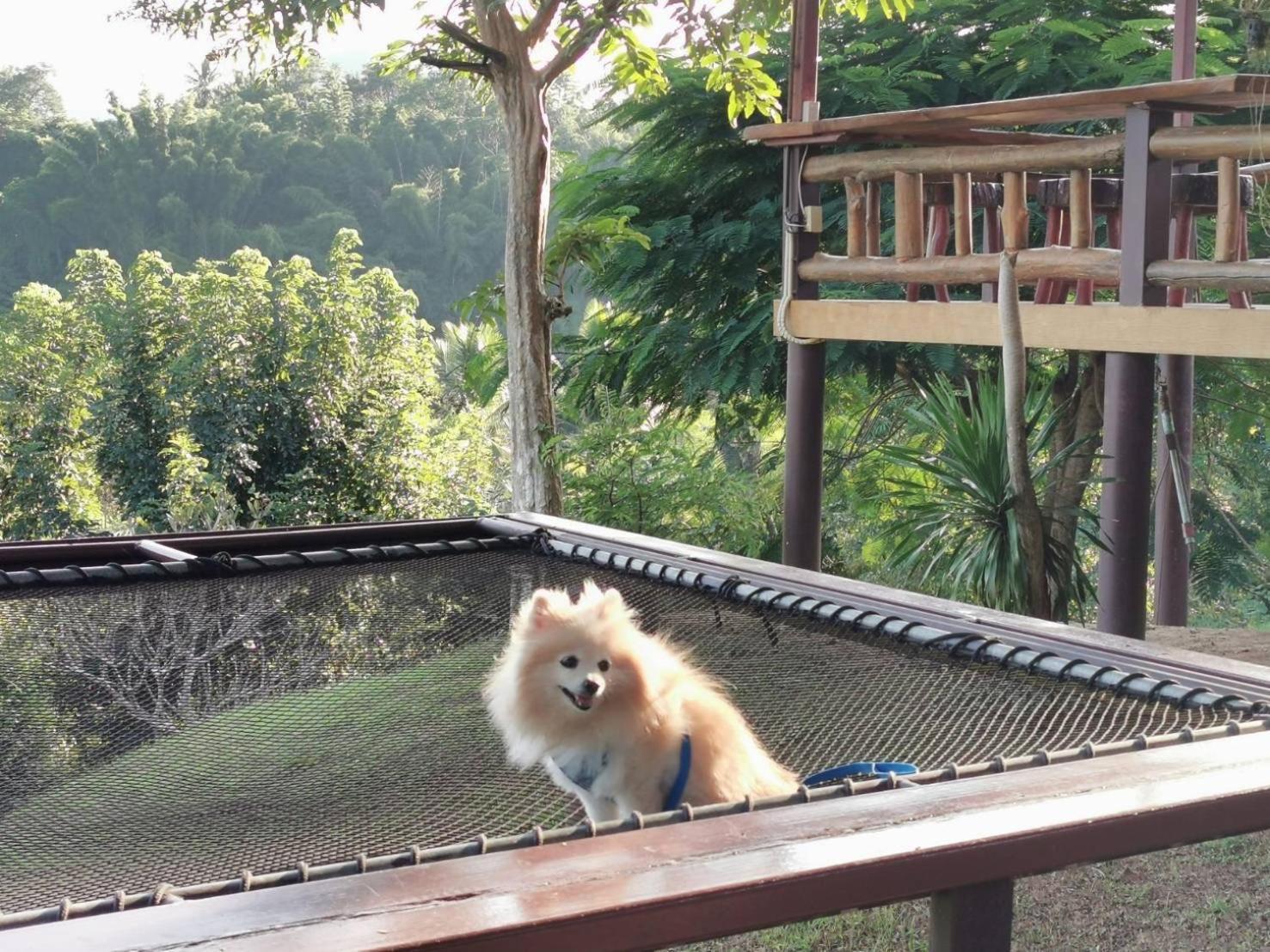 Baanrai Khunya บ้านไร่คุณย่า Ban Huai Maenam Noi Exterior photo
